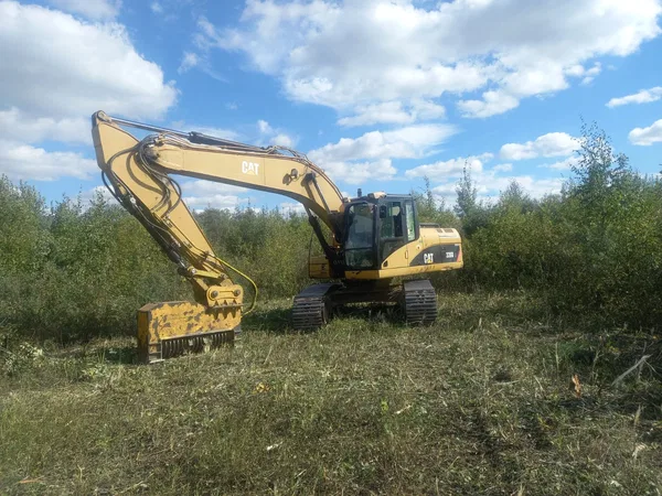 Гусеничный экскаватор                                                         Caterpillar                                                     320dl