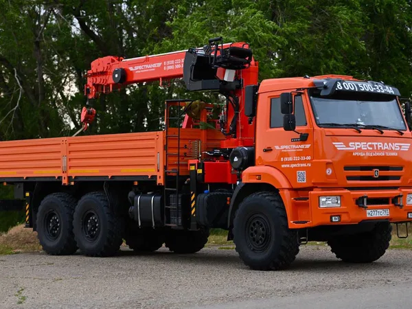 Бортовой грузовик с КМУ                                                         КамАЗ                                                     RO19