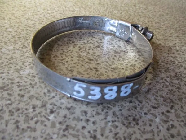 Ленточный хомут шланга 50-72 mm