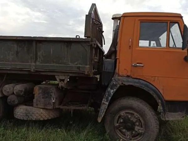 Бортовой грузовик КамАЗ 55102