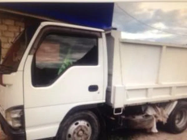 Самосвал Isuzu Elf