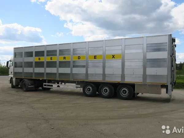 Полуприцеп скотовоз Berdex Ecoline