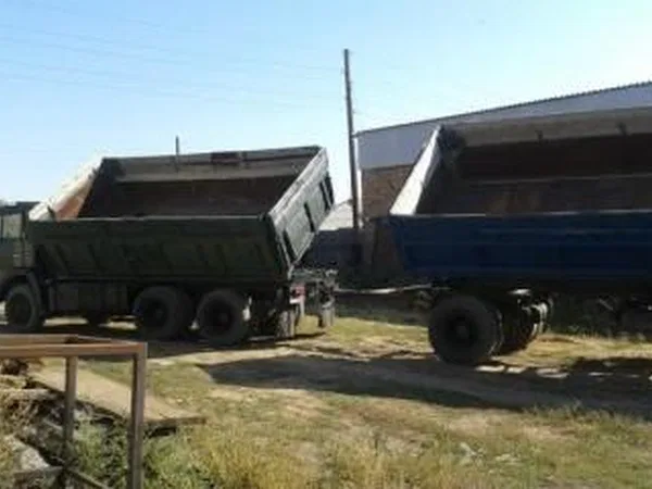 Зерновоз КамАЗ 55102