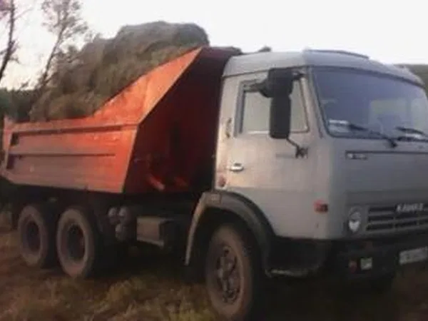 Самосвал КамАЗ 55111