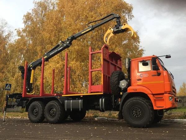 Сортиментовоз КамАЗ 43118 с ГМУ ВЕЛМАШ-С VM10L74