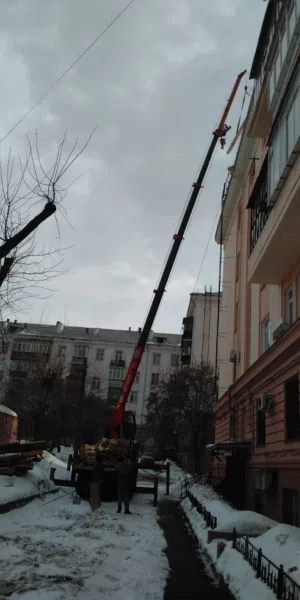 Бортовой грузовик с КМУ KIA Granto