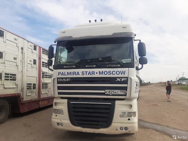 Седельный тягач DAF 105