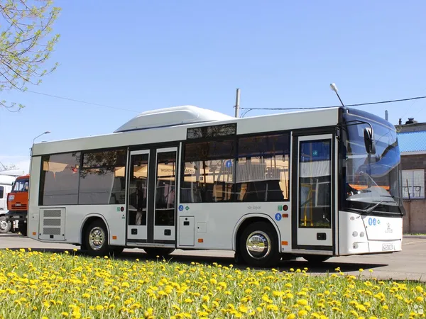 Автобус Lotos (Лотос) 206