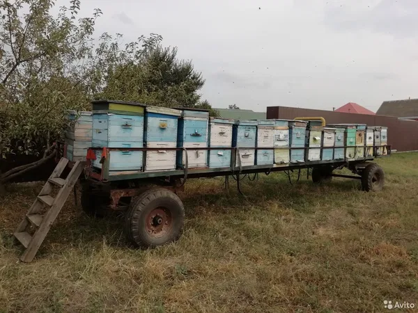 Прицеп пчеловоз с ульями