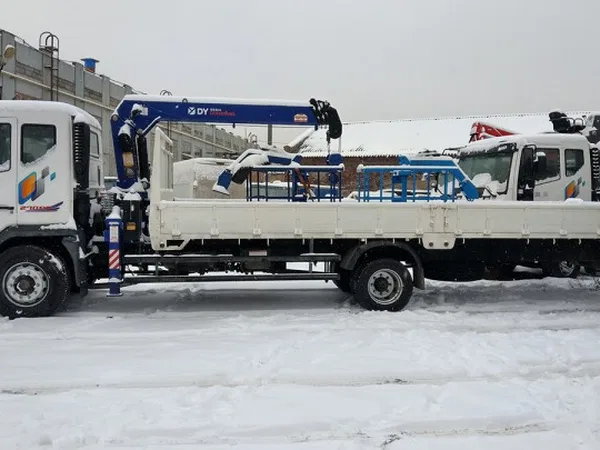 Бортовой грузовик с КМУ TATA DAEWOO NOVUS с КМУ DongYang 814