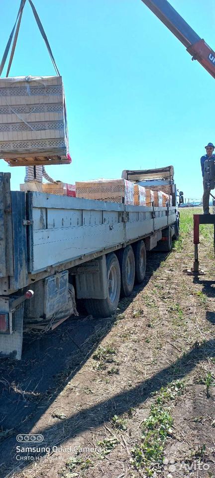 Бортовой полуприцеп Schmitz Cargobull
