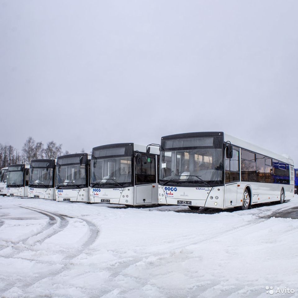 Автобус МАЗ 203015
