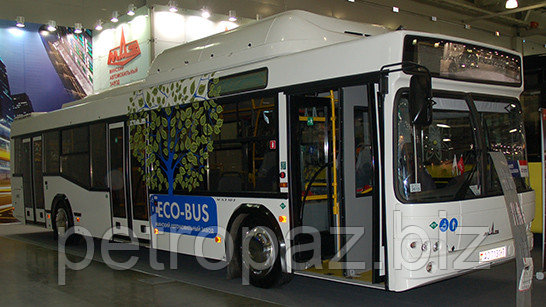 Автобус МАЗ 103L65