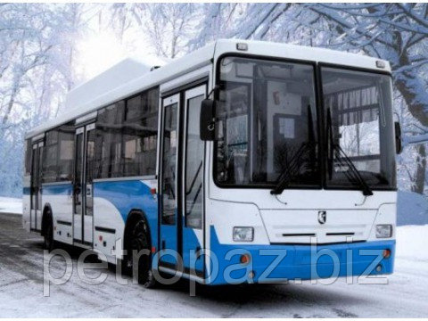 Автобус НефАЗ 5299-0000020-31