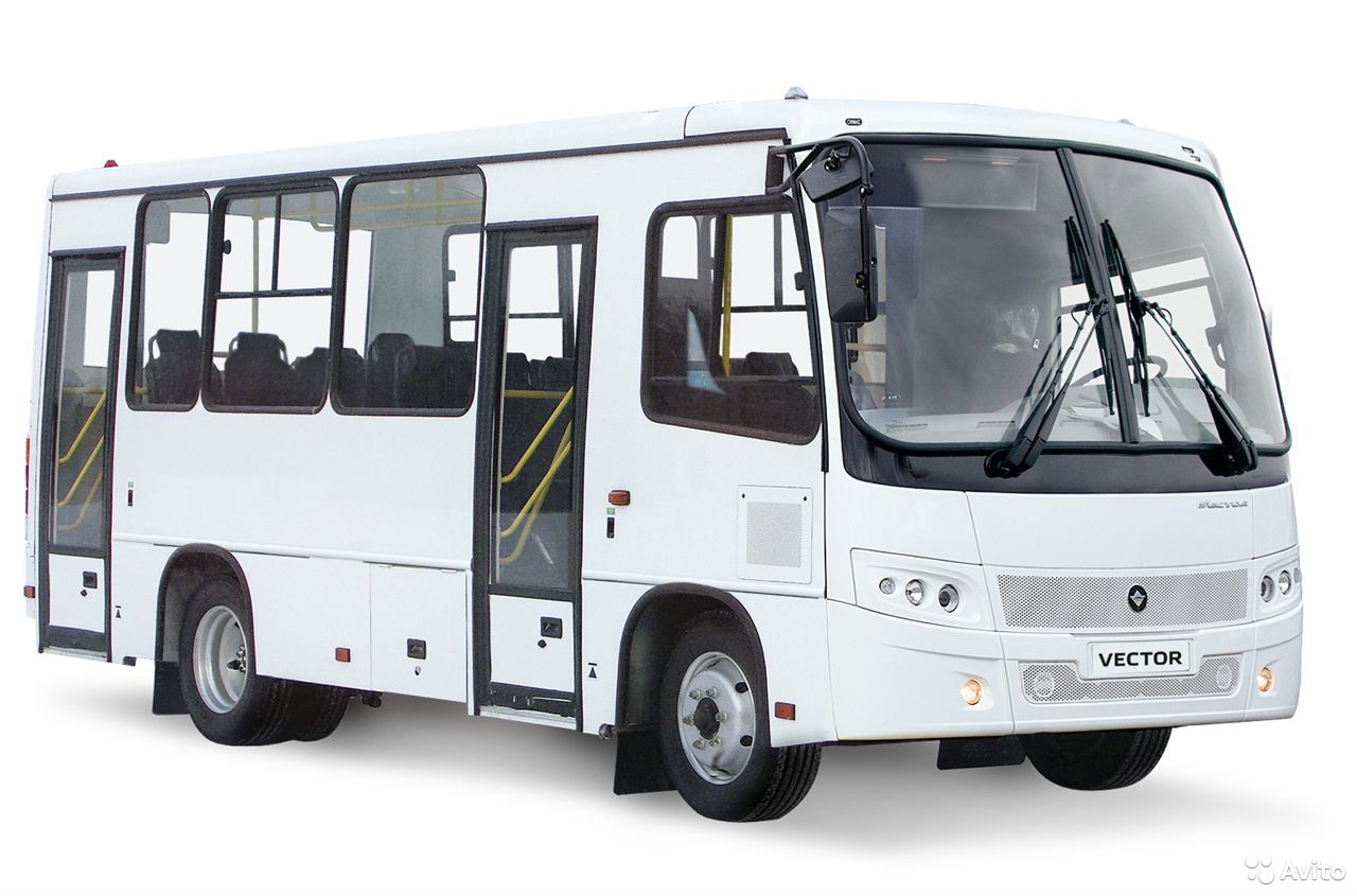 Автобус ПАЗ 320302-08 Вектор 7.1 (пригородный)