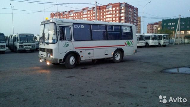 Автобус ПАЗ 3205
