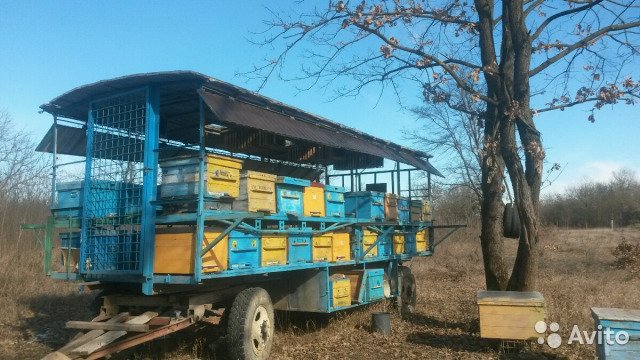 Прицеп пчеловоз на 56 семей