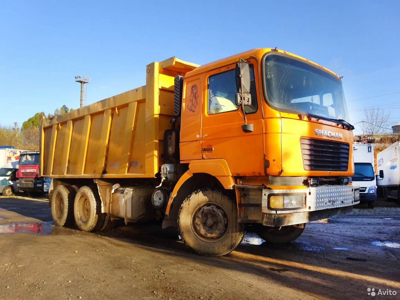 Самосвал SHACMAN (Shaanxi) SX3255DR384