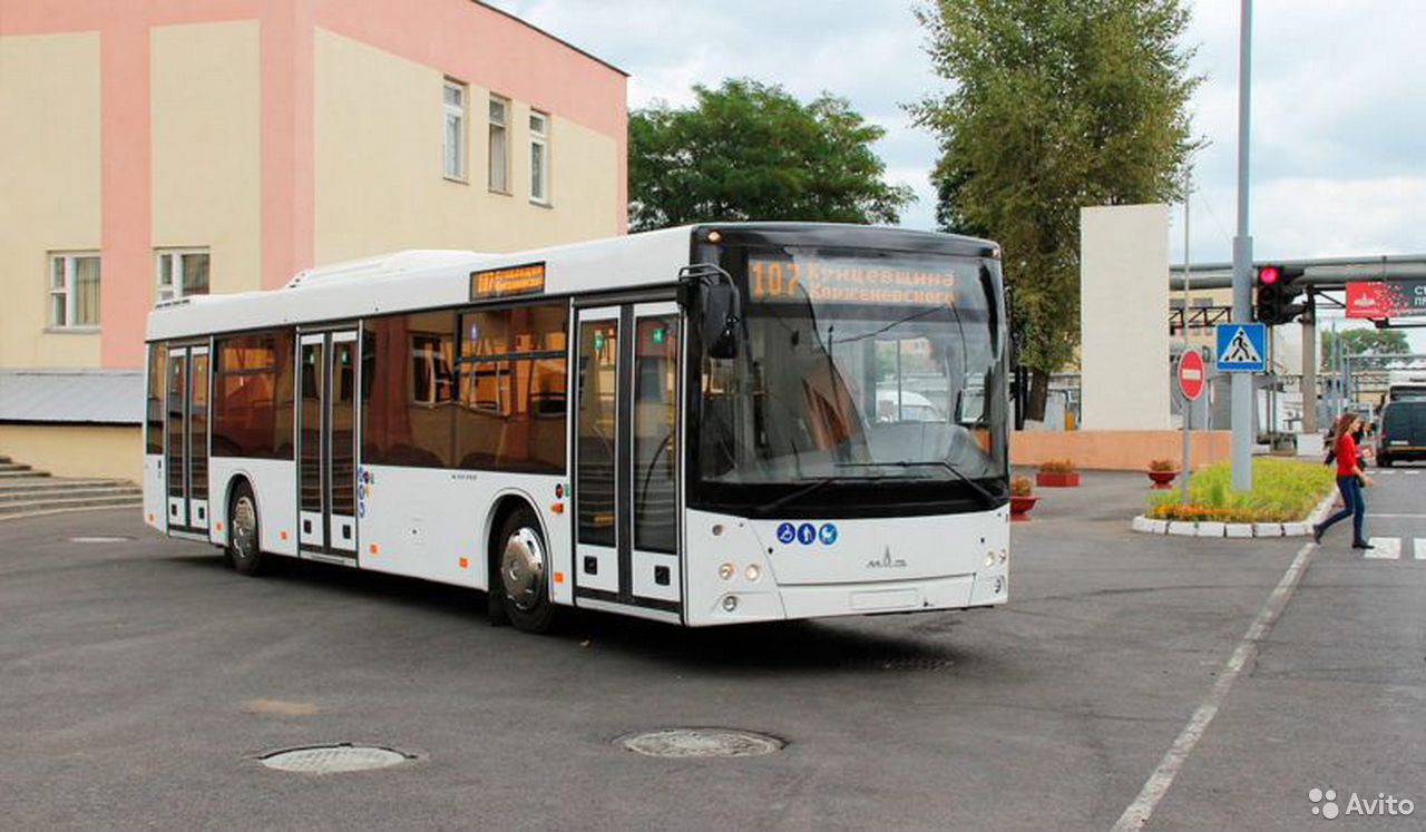 Автобус МАЗ 203015