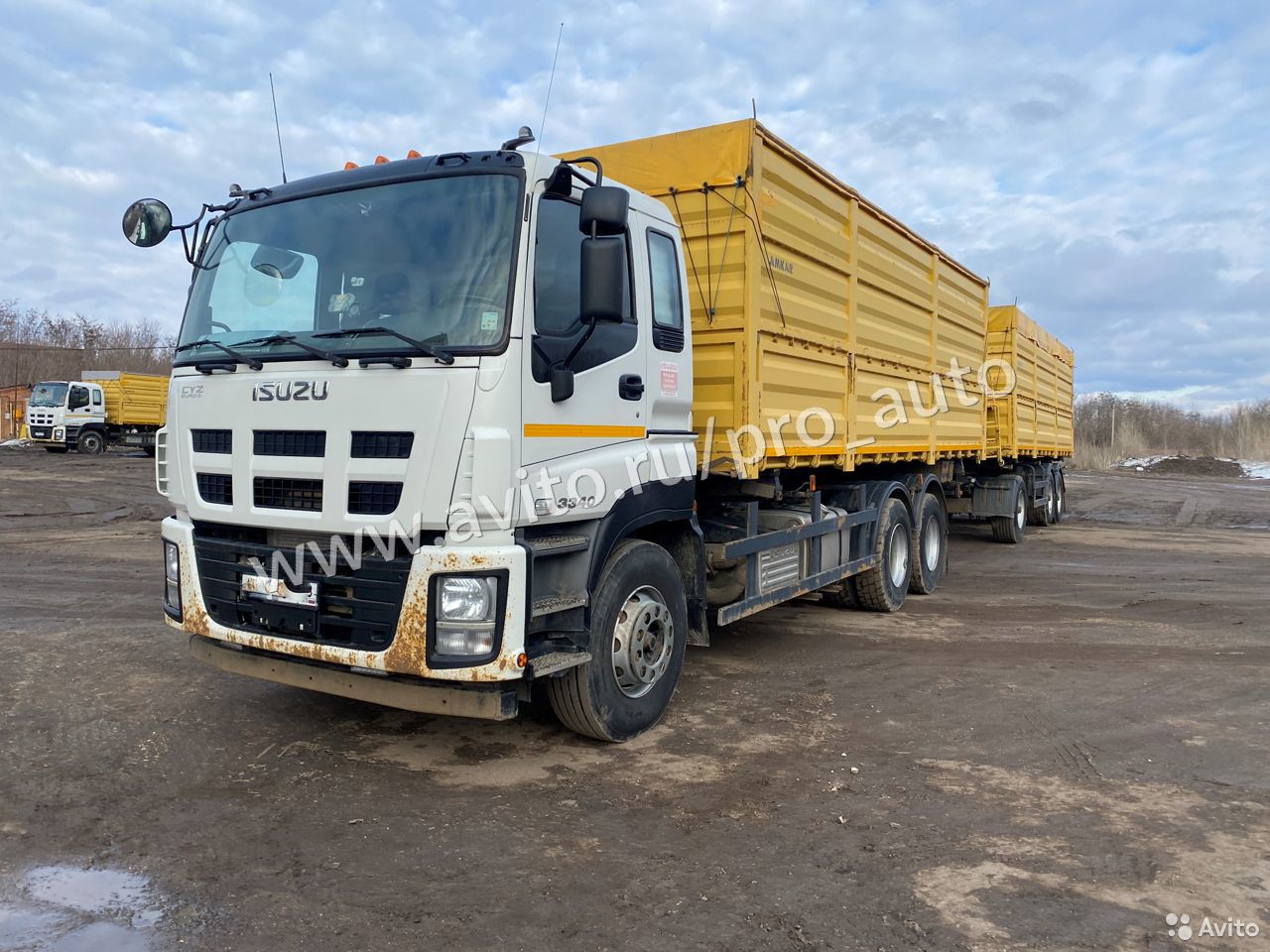 Зерновоз Isuzu 65899-41