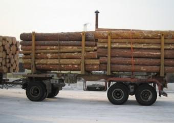 Прицеп лесовоз (сортиментовоз)