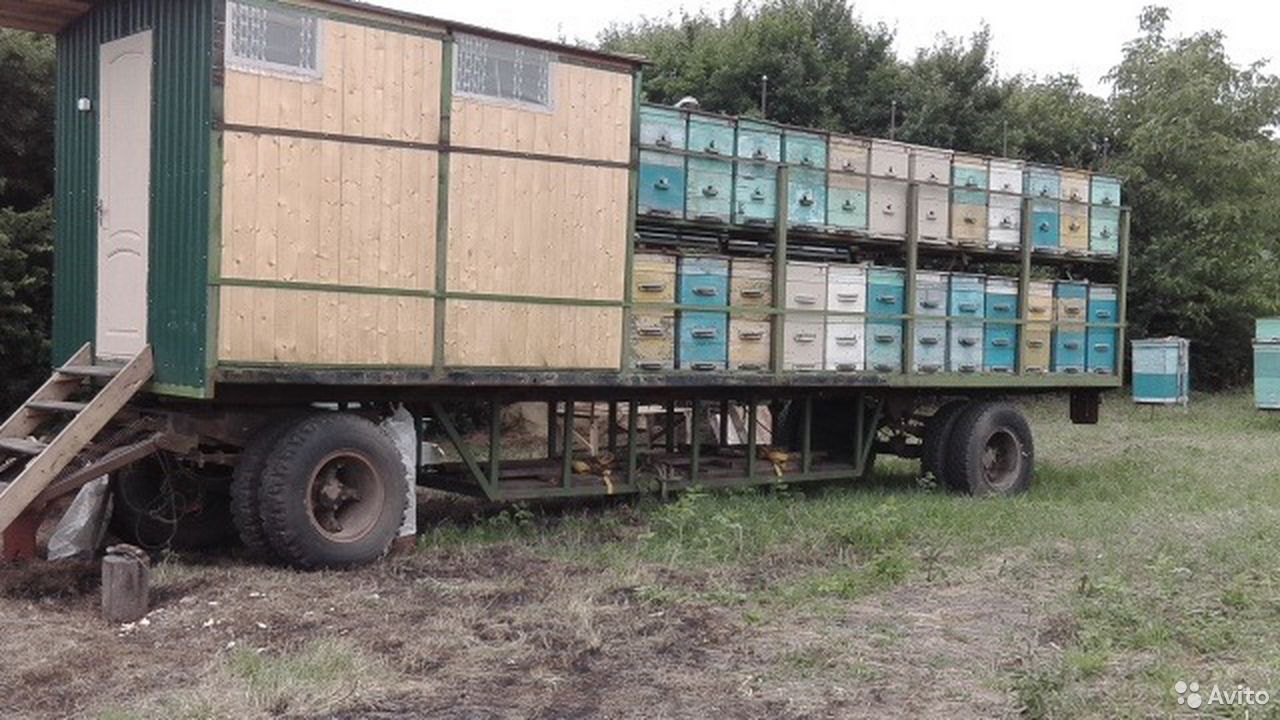 Прицеп пчеловоз КамАЗ