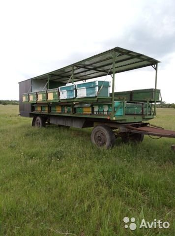 Прицеп пчеловоз (пасека)