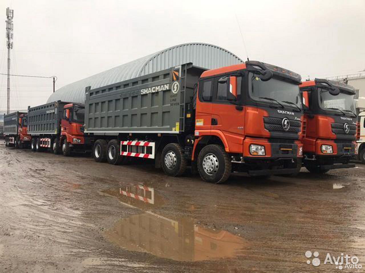 Самосвал SHACMAN (Shaanxi) SX33186T X3000