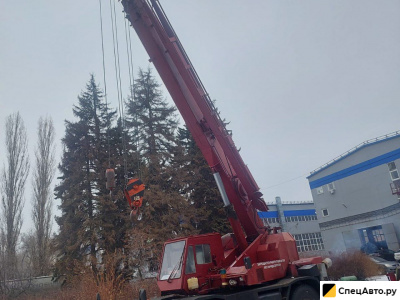 Автокран Tadano TR250M