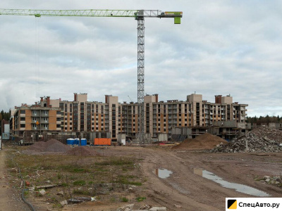 Башенный кран Zoomlion T6013-8A