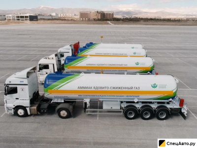 Полуприцеп газовоз Auflieger SNNYS