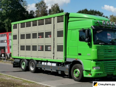 Скотовоз DAF XF 105/460 SC Menke 3 Stock Hubdach