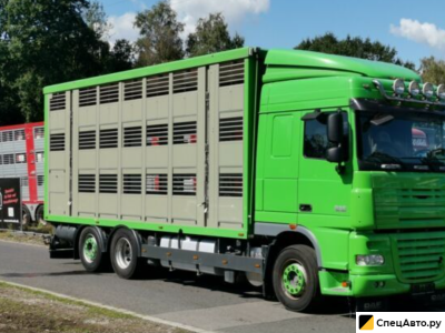 Скотовозный грузовик DAF XF 105/460 SC Menke 3 Stock Hubdach