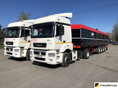 Полуприцеп зерновоз Тонар 9594