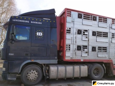 Скотовозный грузовик PEZZAIOLI DAF