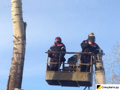 Спил деревьев, расчистка участков, обрезка веток