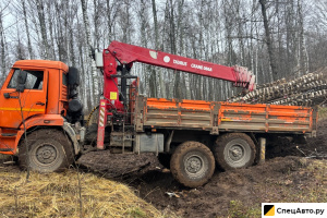 Бортовой грузовик с КМУ КамАЗ 43118