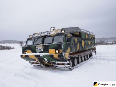 Гусеничный вездеход ACE ДЕ 10