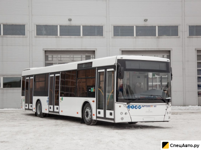 Автобус МАЗ 203015 (городской)