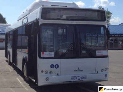 Автобус МАЗ 103965 (городской)