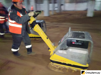 Виброплита Wacker NeusonWacker Neuson DPU 6555Heap