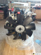 Двигатель Yuchai YCD4J22T-115