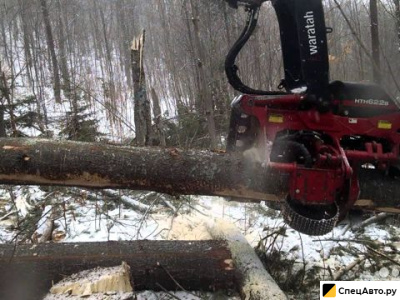 Харвестерная головка Waratah 622B