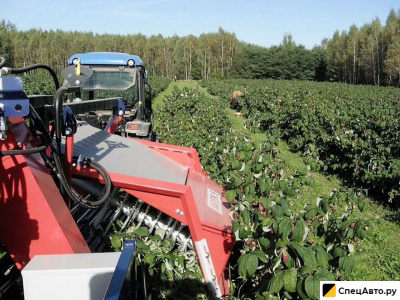 Ягодоуборочный комбайн JAREK 5 "Малина"