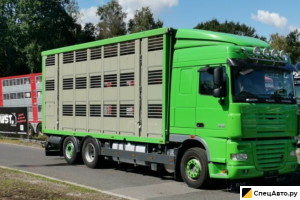 Скотовозный грузовик DAF XF 105/460 SC Menke 3 Stock Hubdach