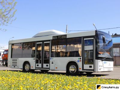Автобус лотос 206
