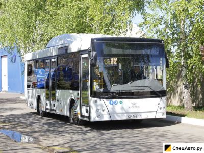 Городской автобус Lotos 206