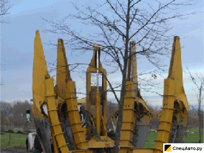 Пересадка деревьев Санкт-Петербург