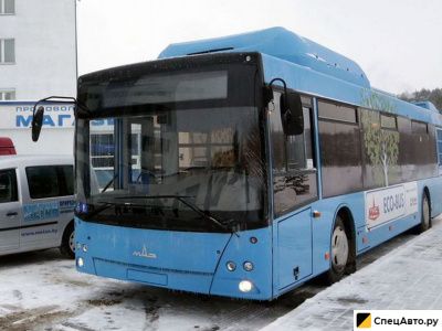 Городской автобус МАЗ 203965