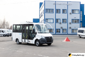 Транспорт для перевозки инвалидов ГАЗ Автобус для перевозки инвалидов ГАЗель Next Citiline